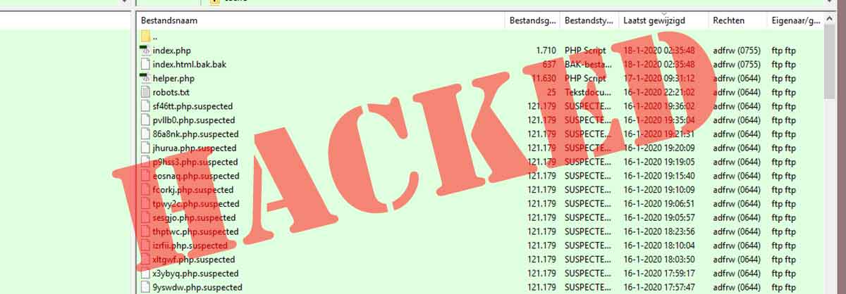 'Hackerdehack', zei de gek